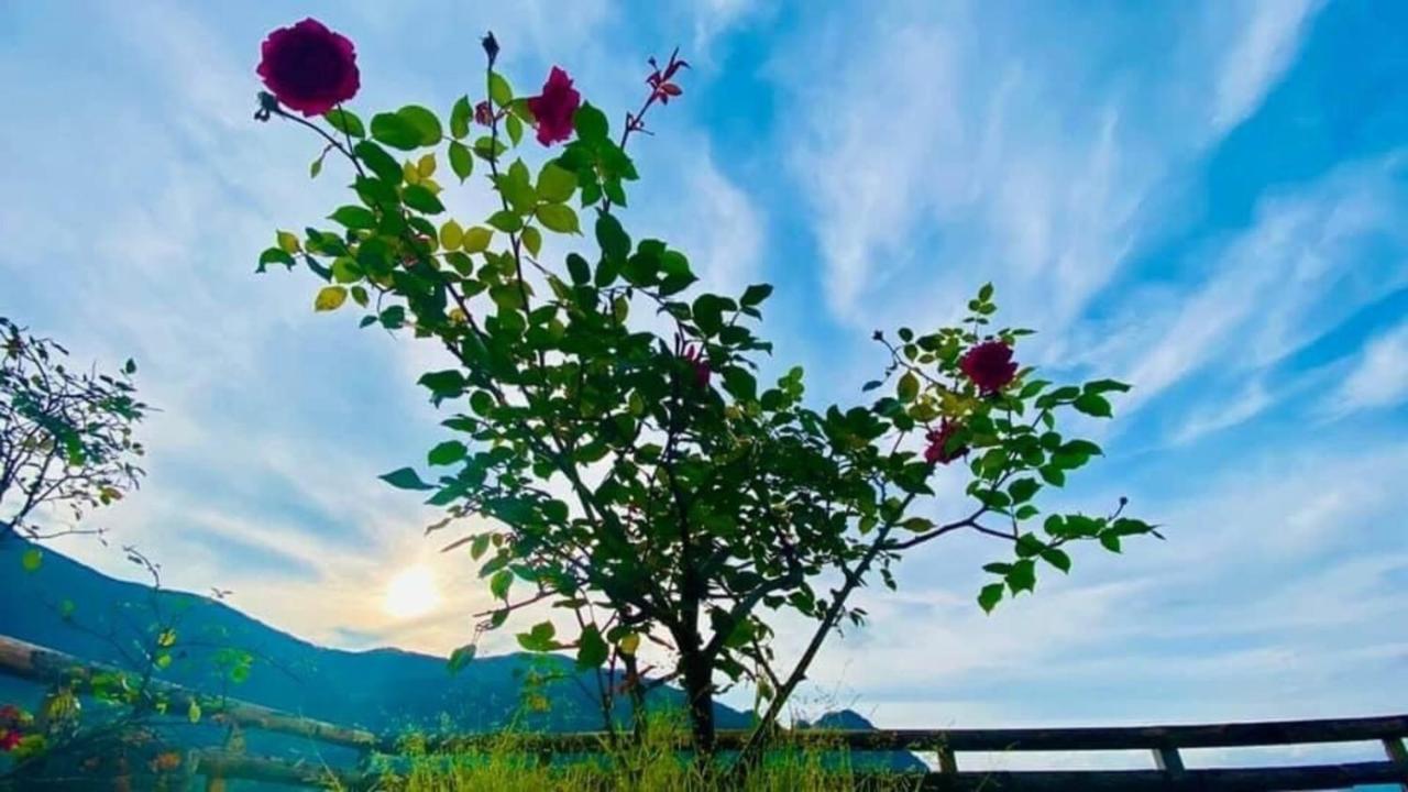 Ha Lu Homestay Lào Cai Extérieur photo